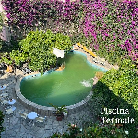 איסקיה Villa Ciccio מראה חיצוני תמונה