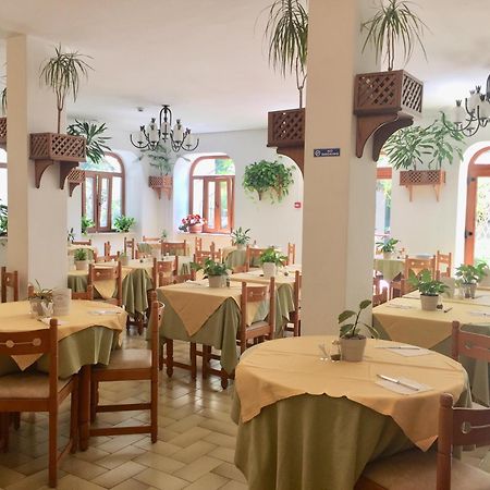 איסקיה Villa Ciccio מראה חיצוני תמונה