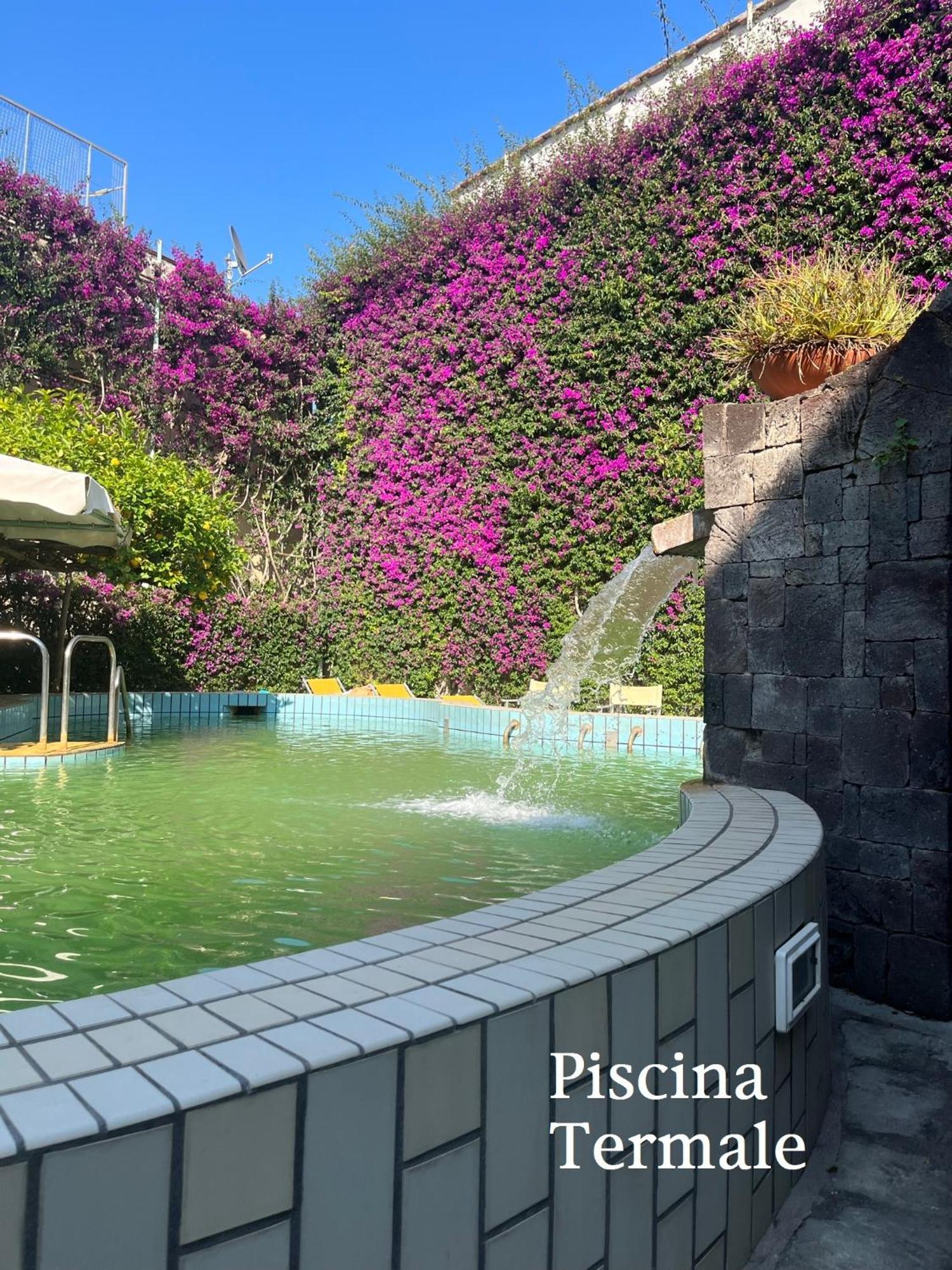 איסקיה Villa Ciccio מראה חיצוני תמונה