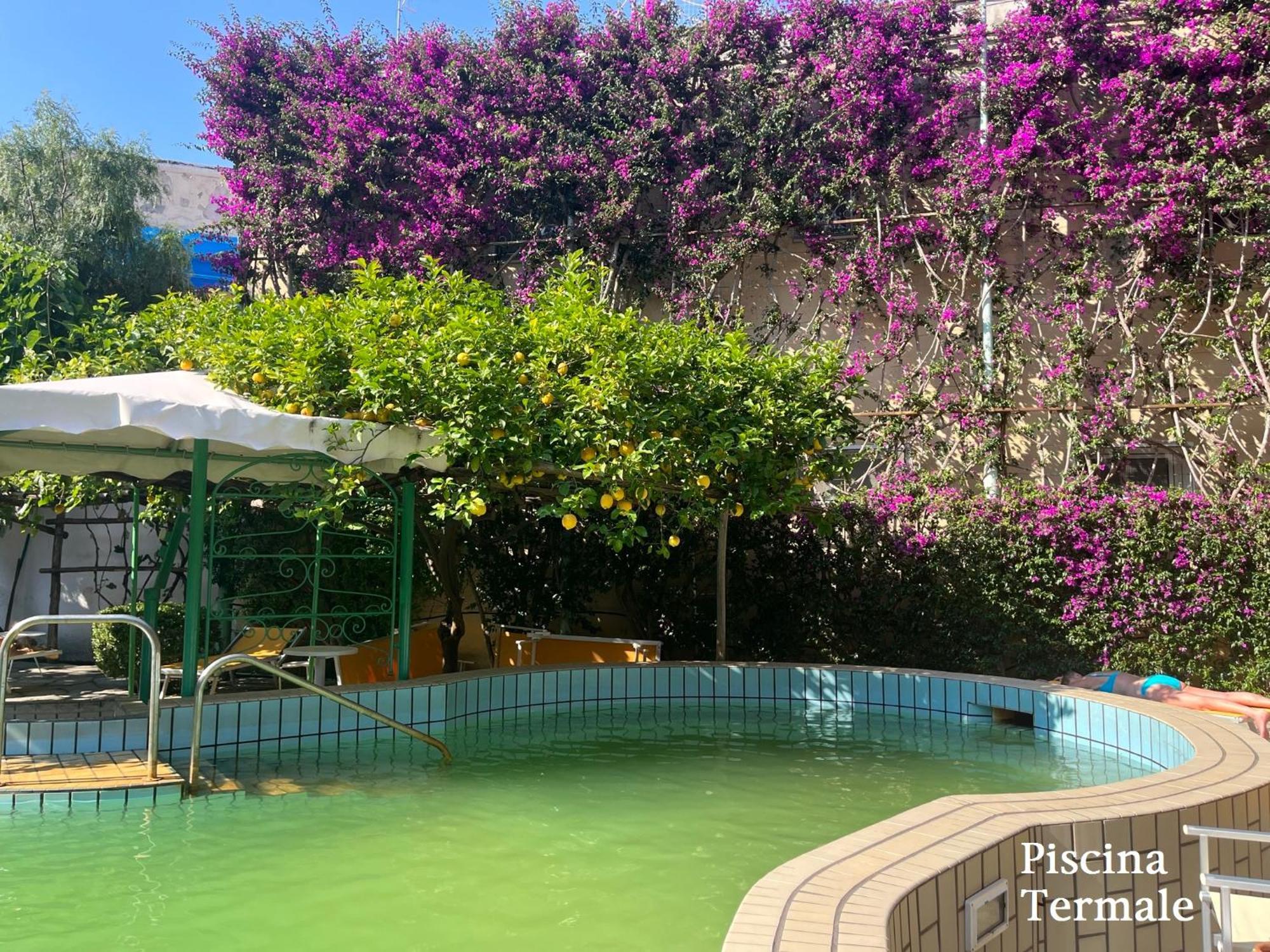 איסקיה Villa Ciccio מראה חיצוני תמונה