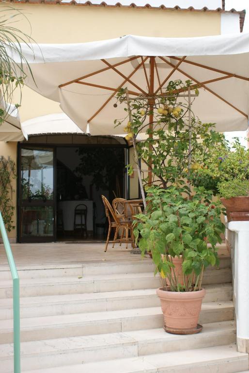 איסקיה Villa Ciccio מראה חיצוני תמונה