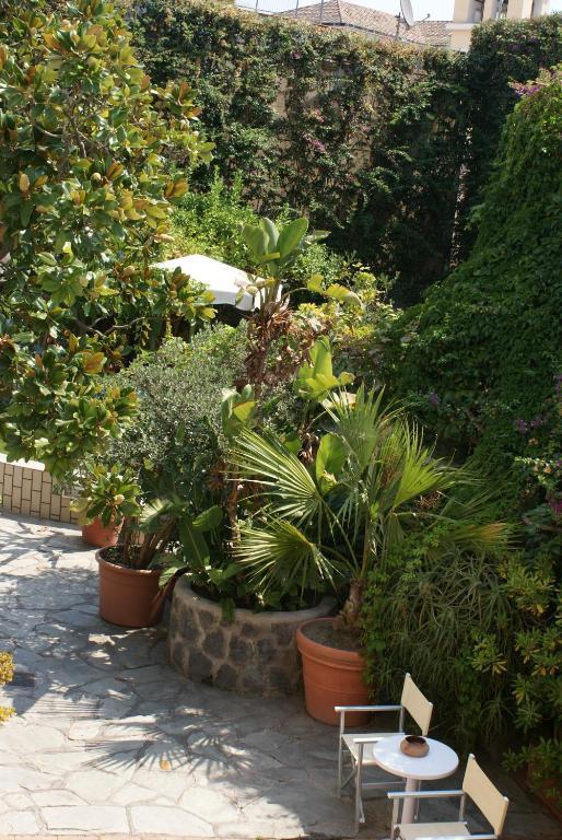 איסקיה Villa Ciccio מראה חיצוני תמונה