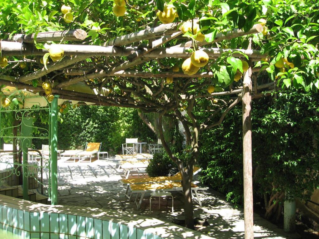 איסקיה Villa Ciccio מראה חיצוני תמונה