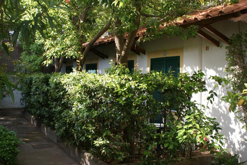 איסקיה Villa Ciccio מראה חיצוני תמונה